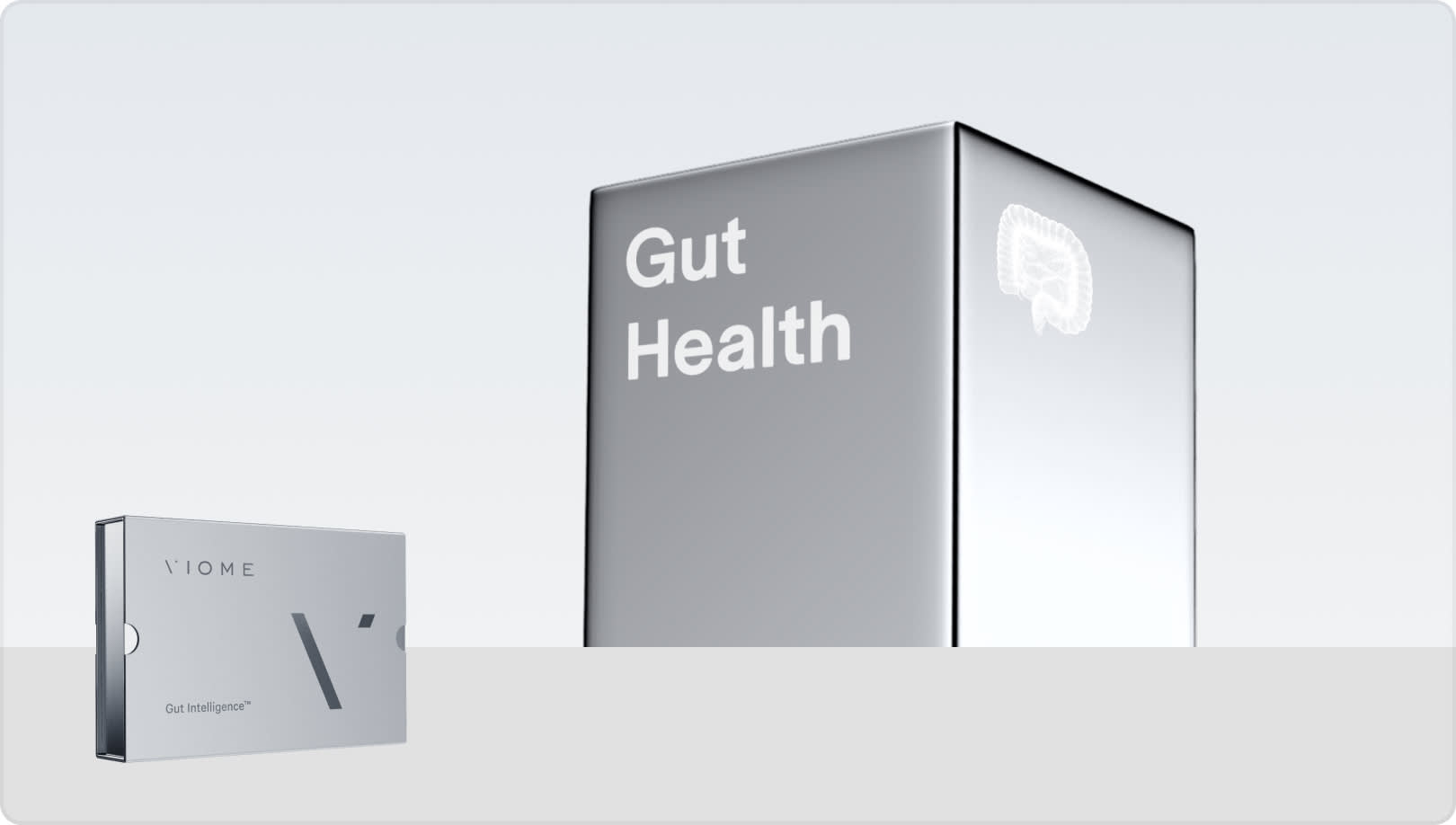 gut test