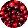 Viome - Cranberry Extract