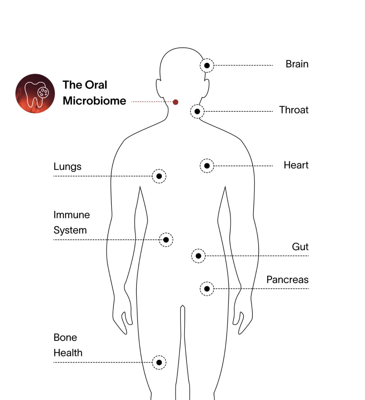 Viome - The Oral Microbiome - Desktop